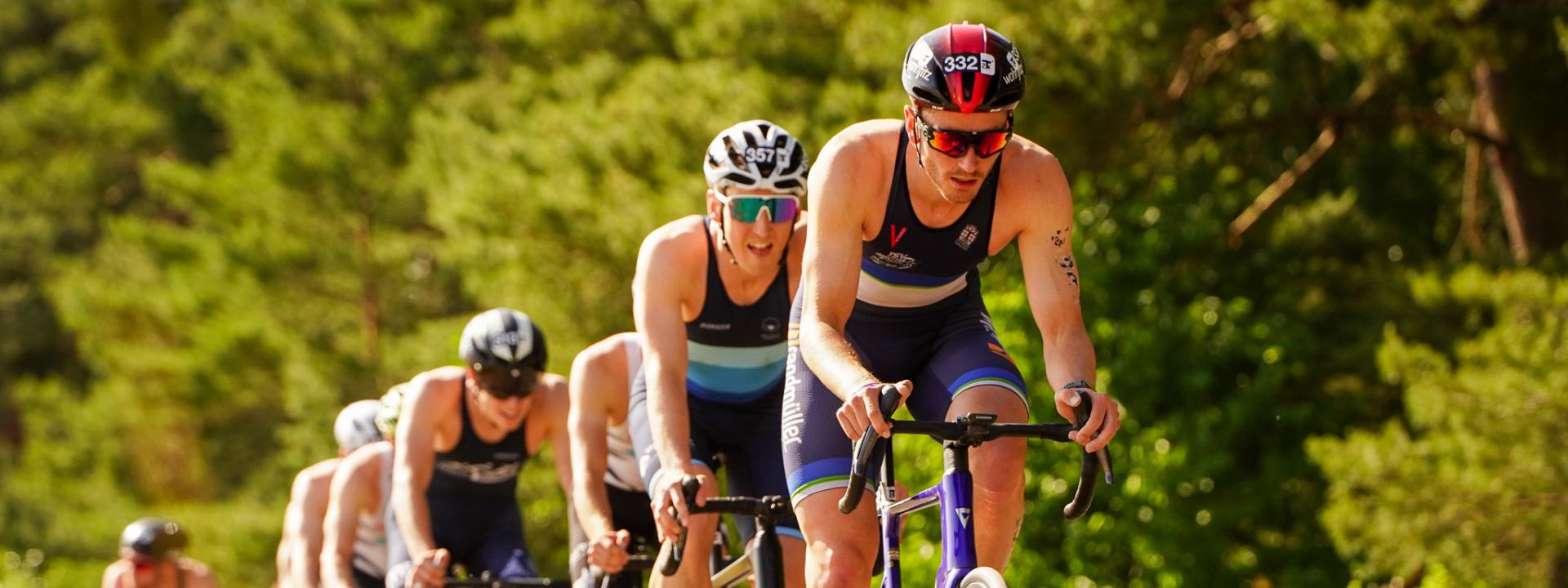 Gruppe Radfahrer fährt an Baumreihe vorbei