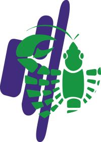 Grafik eines Krebses und blaue Streifen