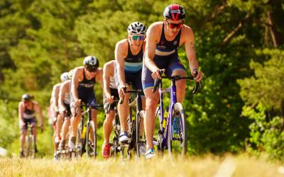 Gruppe Radfahrer fährt an Baumreihe vorbei
